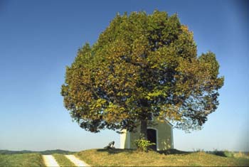 FR20050201_002