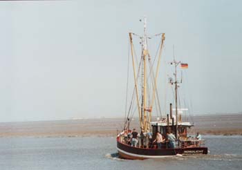 FR20050212_NEU_007