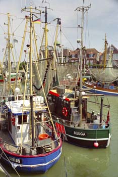 FR20050212_NEU_015