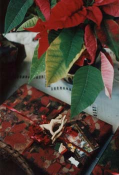 sg1_FR_20041016_011