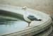 20050220FR103