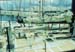 20050222FR008BZH