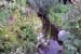 FR20050201_029
