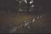sg1_FR_041010_001