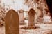 sg1_FR_041010_015