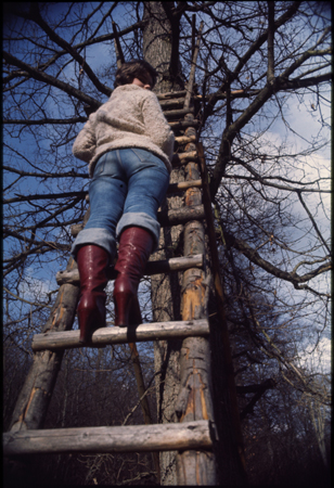 _FR_2004_0815_008