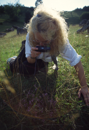 _FR_2004_0815_030